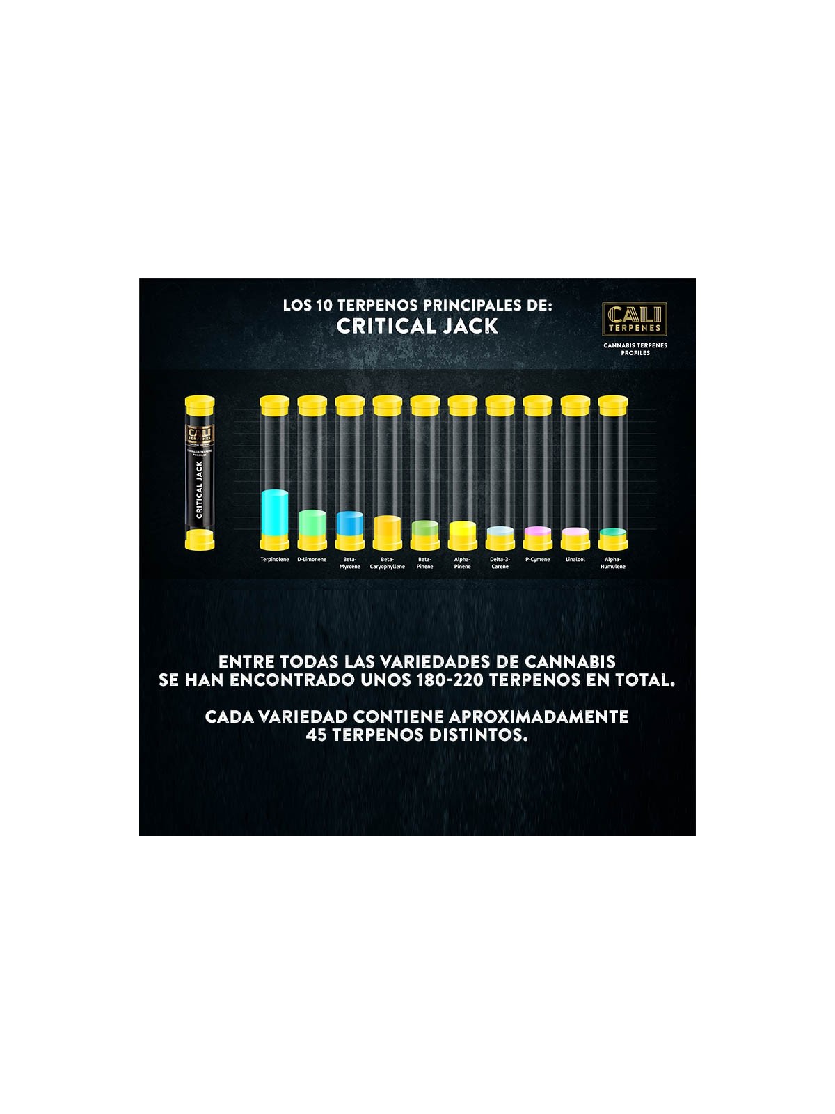 Terpenos Critical Jack