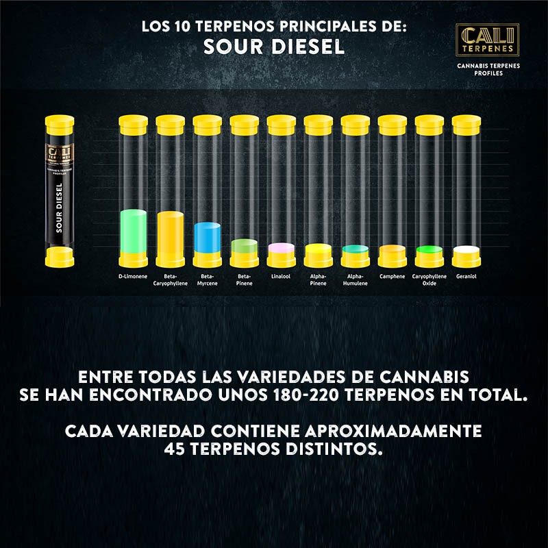 Terpenos Sour Diesel