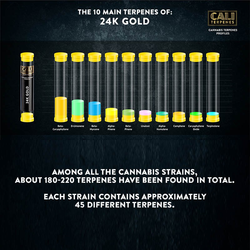 24k Gold Terpenes