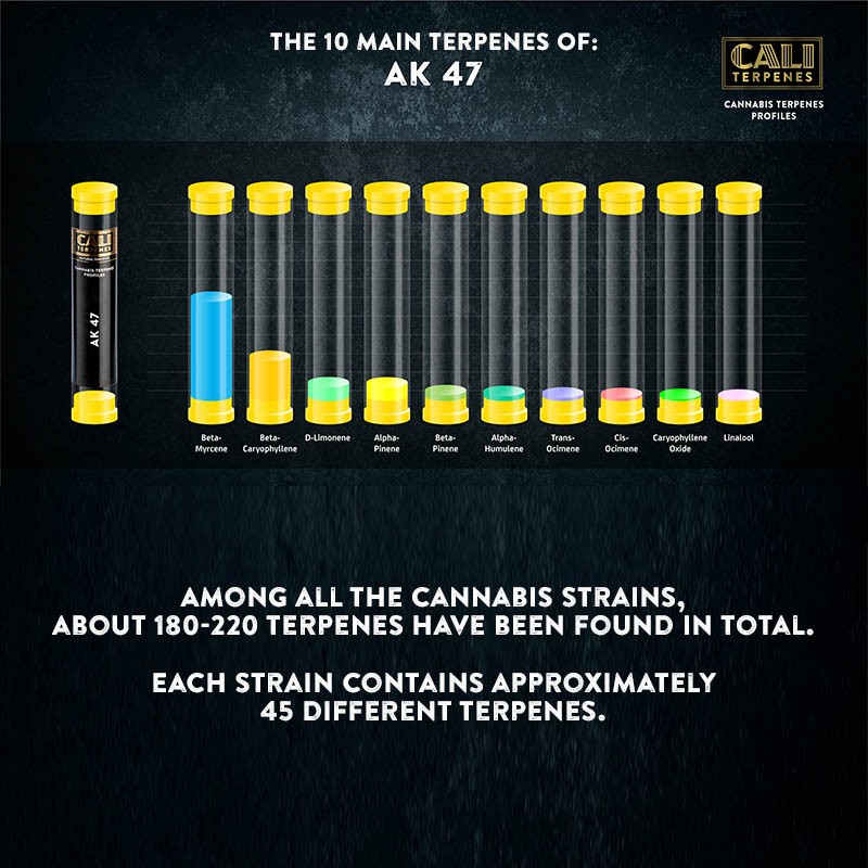 AK 47 Terpenes