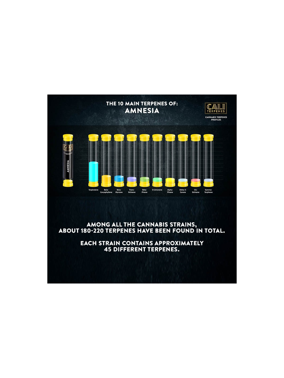 Amnesia Terpenes