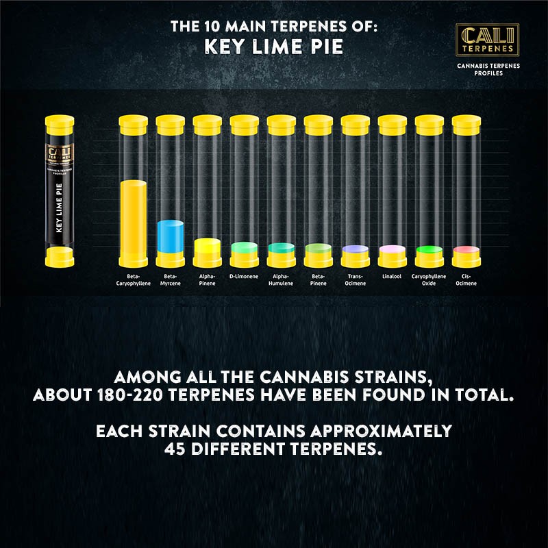 Key Lime Pie Terpenes