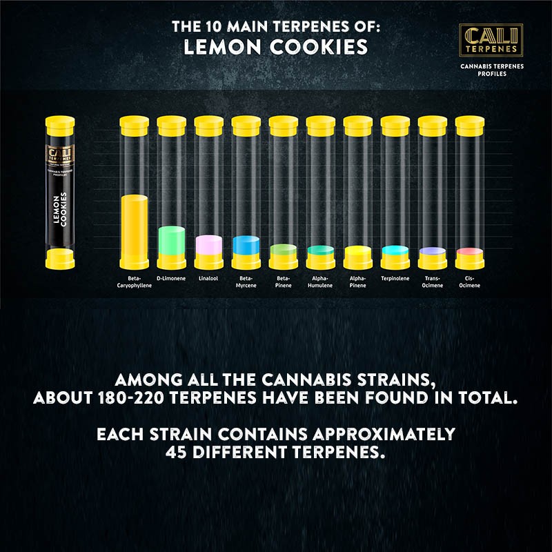 Lemon Cookies Terpenes