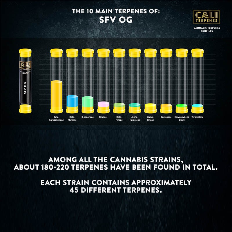 SFV OG Terpenes