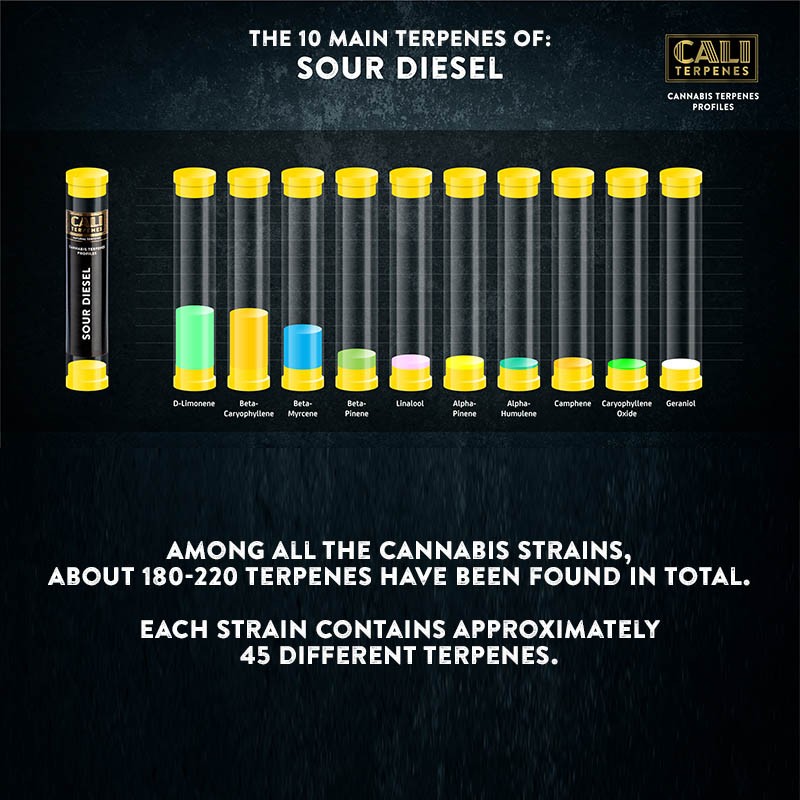 Sour Diesel Terpenes