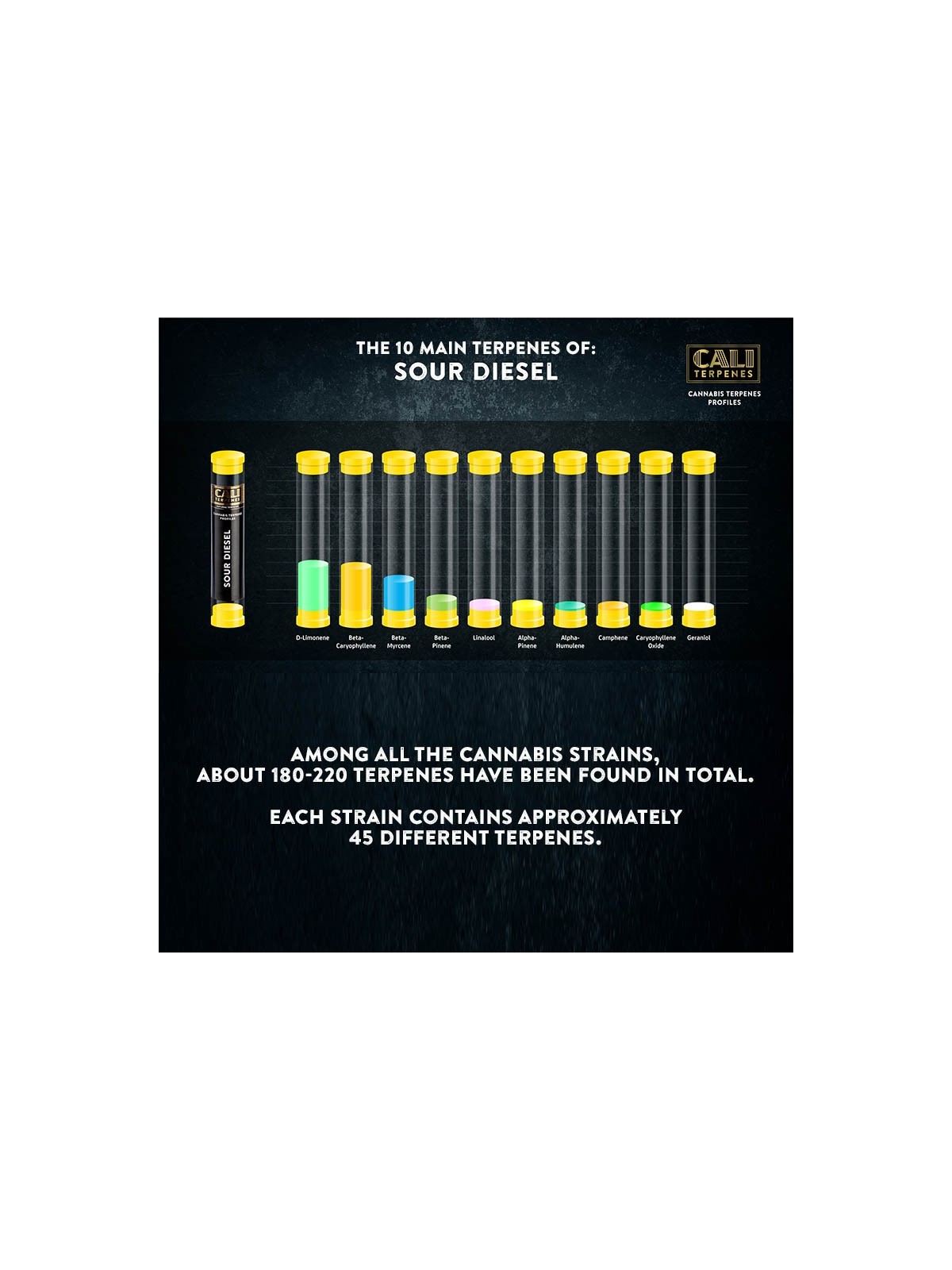 Sour Diesel Terpenes