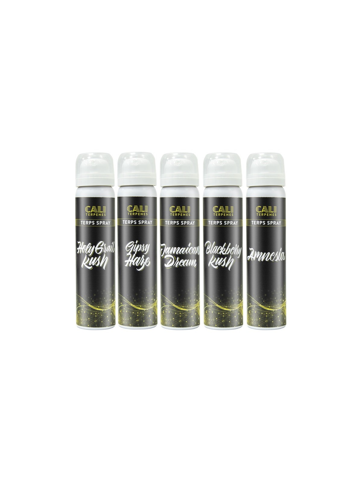 Terps Spray Pack Starter 15ml