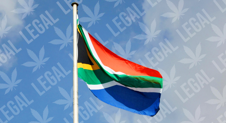 sudafrica legaliza autocultivo