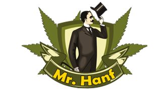 mr-hanf